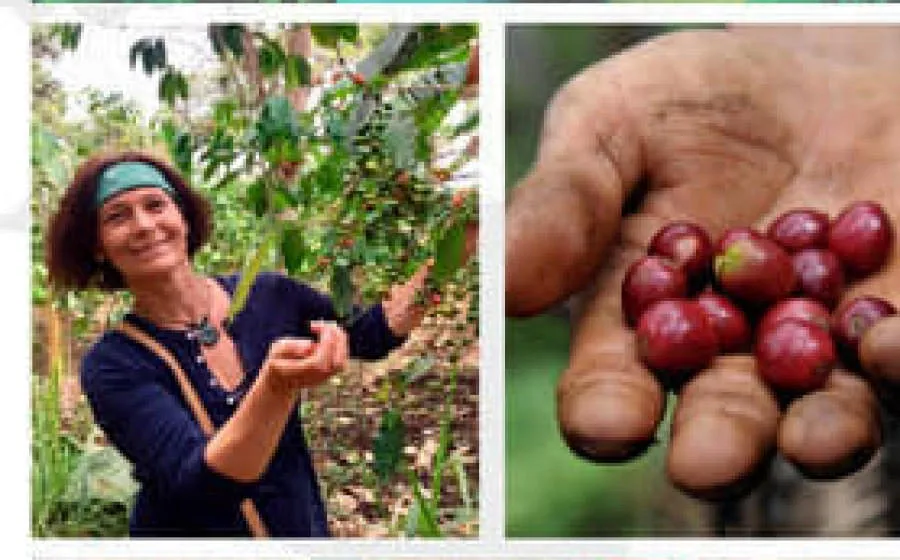 COFFEE-FOR-FUTURE