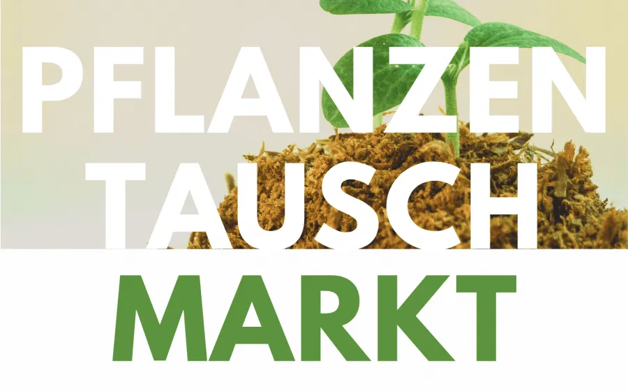 Pflanzentauschmarkt Pflanzentauschmarkt