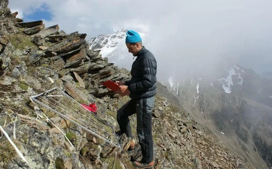 Alpine-Pflanzen-im-Klimawandel Alpine-Pflanzen-im-Klimawandel