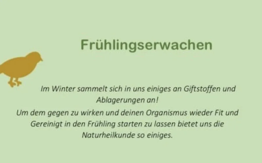 FRUeHLINGSERWACHEN-MIT-MARGARETA-RITSCH