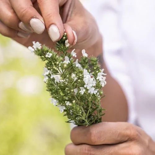 Workshop-Intermittent-Living-ein-neues-Konzept-fuer-koerperliche-und-geistige-Resilienz-
